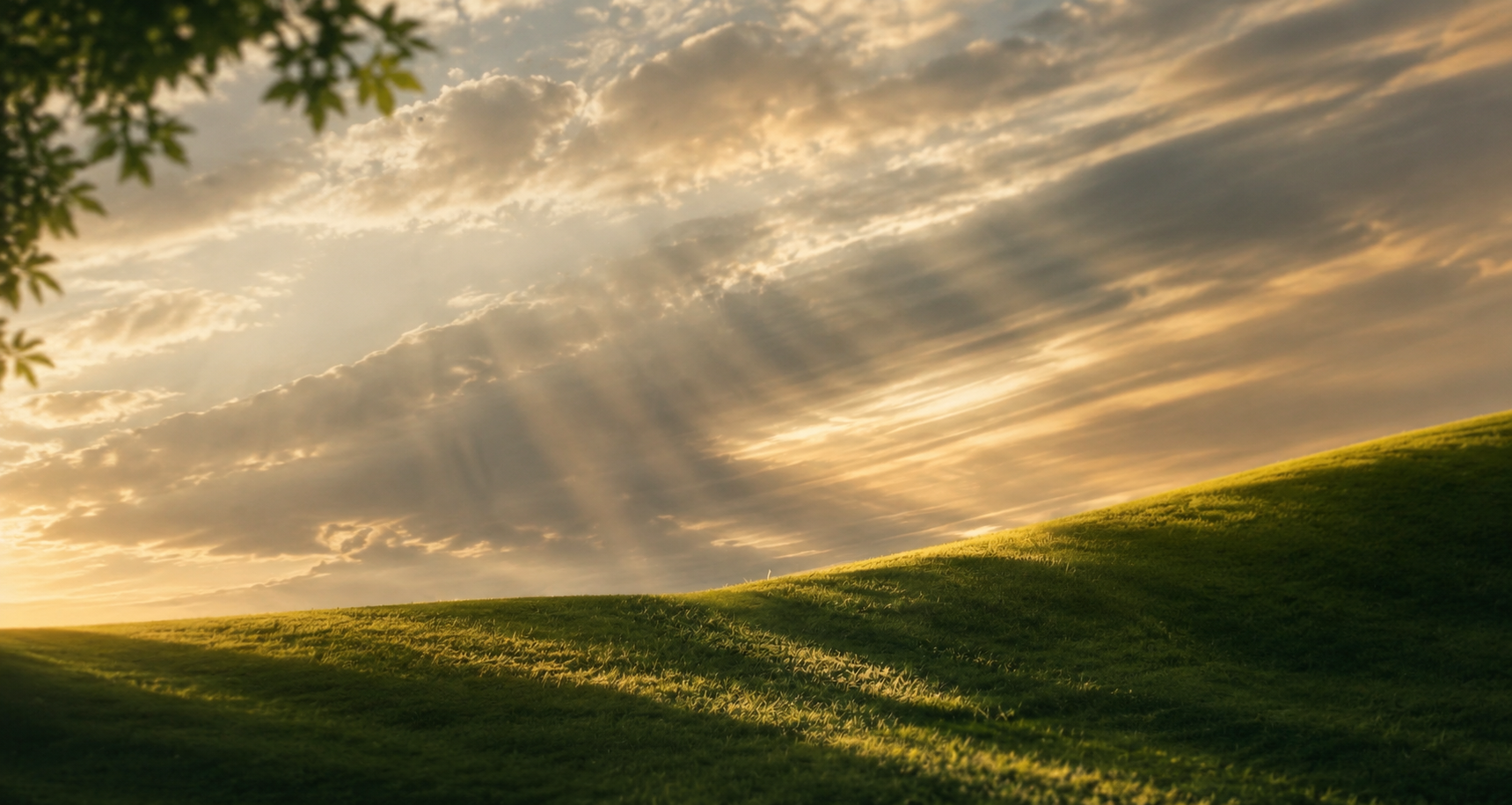 A landscape representing the impact of giving